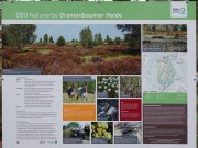 Oranienbaumer Heide