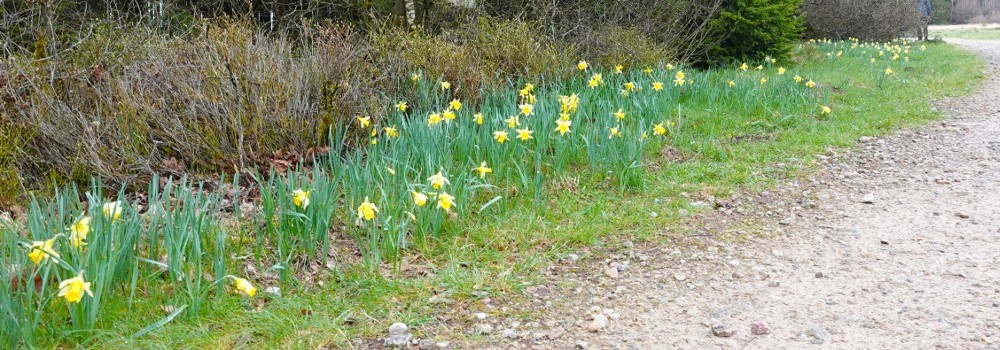 Philatelistische Arbeitsgemeinschaft Ornithologie - Jaarbijeenkomst 2024 in Bütgenbach